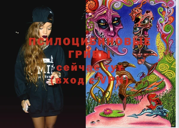 ешки Осташков