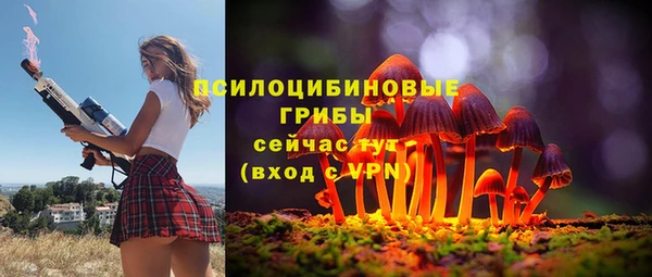 СК Аркадак