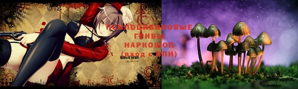 хмурый Балабаново