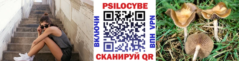 сколько стоит  Мичуринск  Галлюциногенные грибы Magic Shrooms 